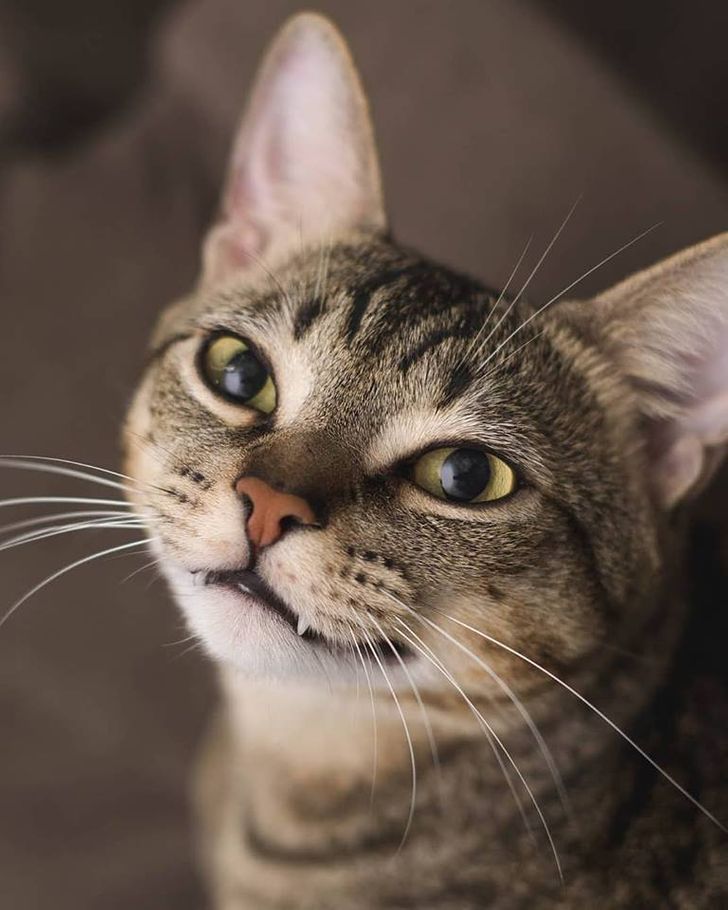 5f4ab75c96aaeb85babe8d49c0