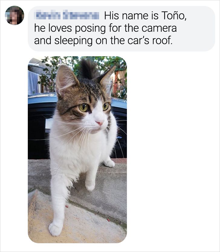 5f505054468c6481fbff7da966