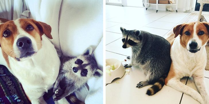 5f54ce5047bafbd088324f1f0a