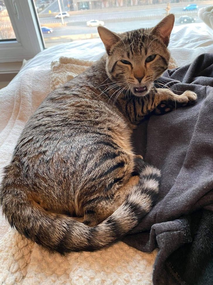 5f54dd53c2944d445ce467aacb 5f54dd53c2944d445ce467aacb