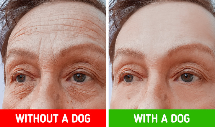 5f596153abab74f0c224ae6a2a