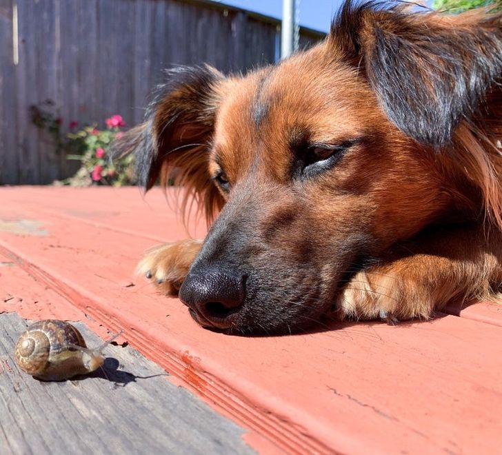 5f5d0e55c0935b8cc7446bb71a