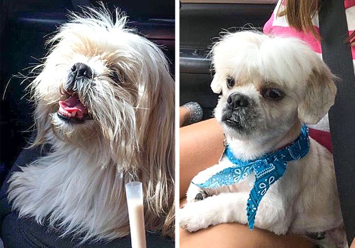 5f700b5f50975095c39ddca63c