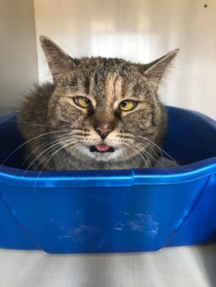 5f707f56e8a1314f39b0d30640