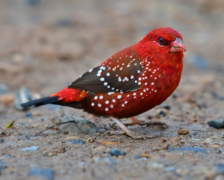 5f73f151d588042bde5c802feb