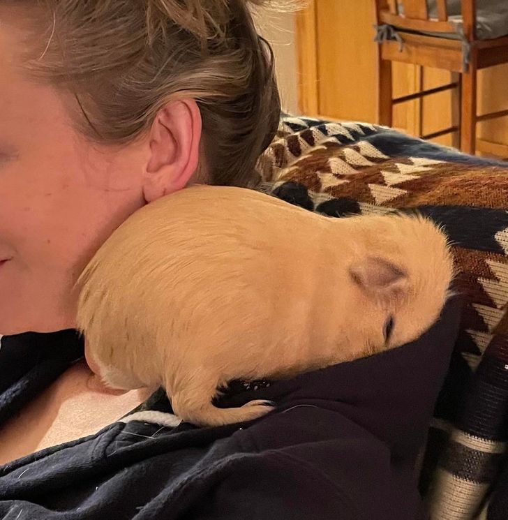 5f80395870834b99b0c1f0fd94