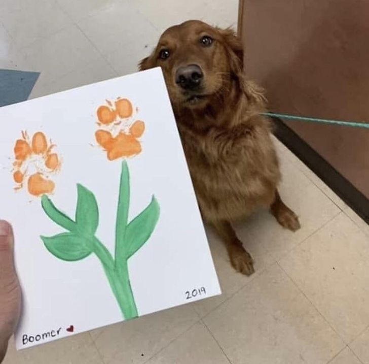 5f811f5161890dd7c7c613f336