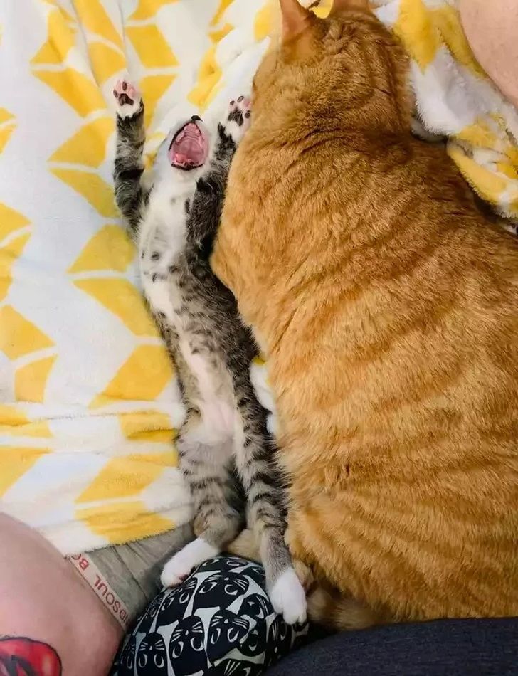 5f86465246b0ec5dd73007fd23