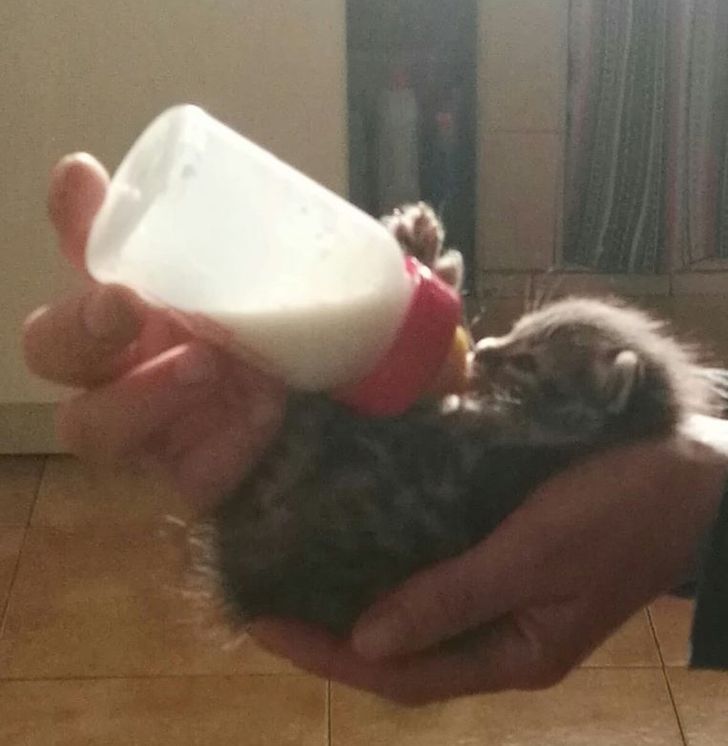 5f8d8c5d64902486ca2d4beeb7