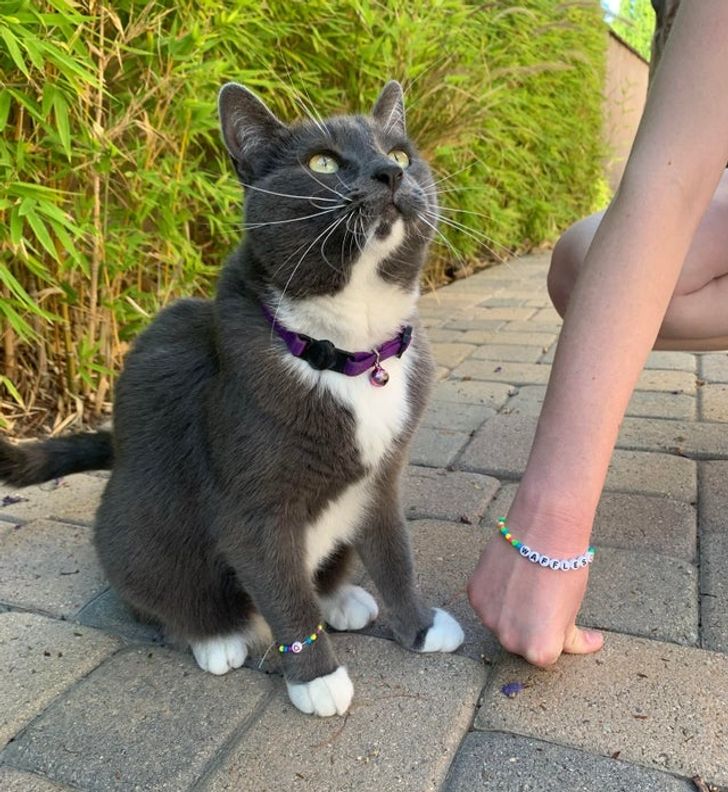 5f8e915df2b34adff012560cc5