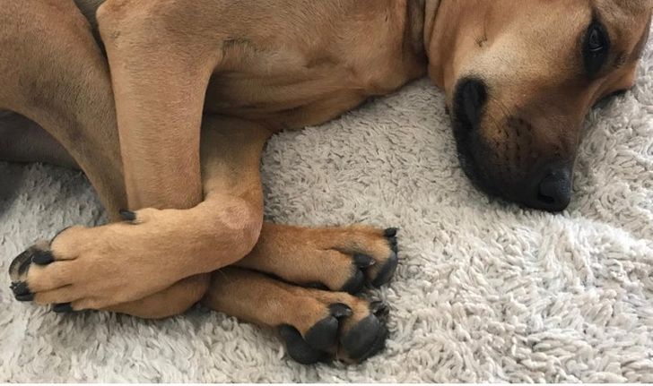 5f956c5dd7b3ace4340901e999