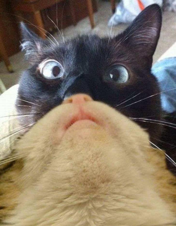 5f9d2755b58f352de043e14287