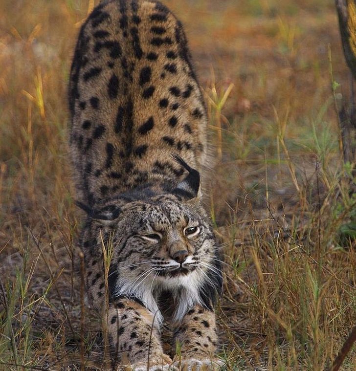 5f9dd25b30acc7e3b074f63c94