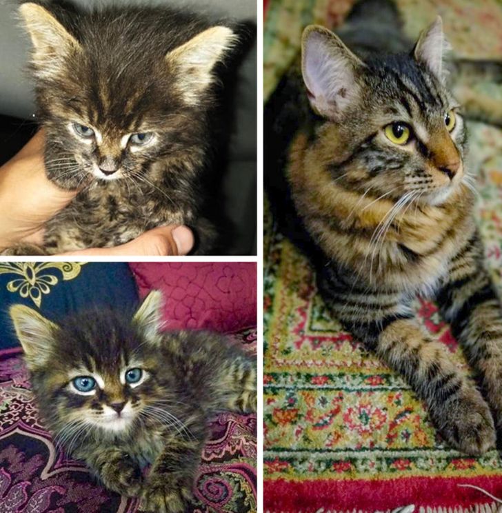 5fa49752c8820204031e5101a5