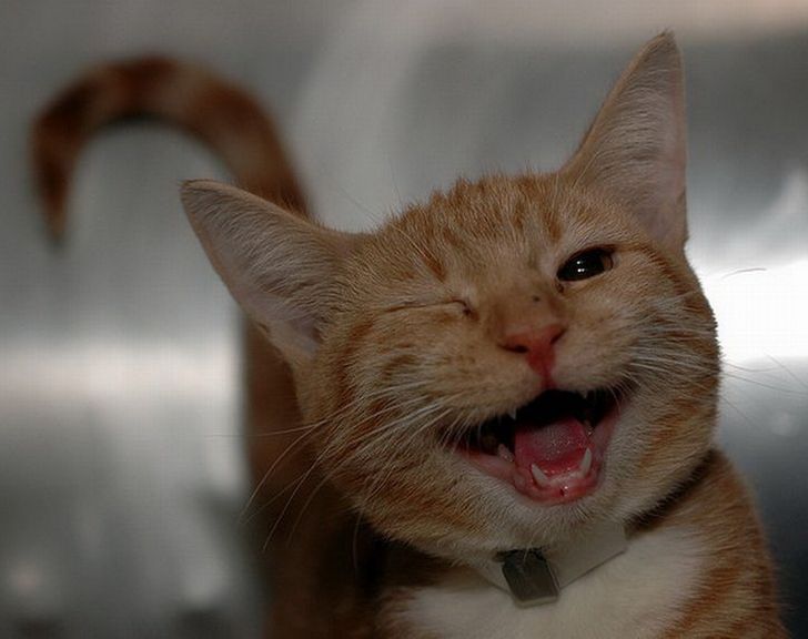 5fa8d05de28c0fa52d64d8000b