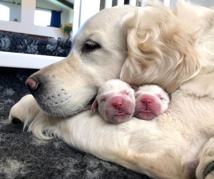 5fa9af518cac4b5a8d791e03de