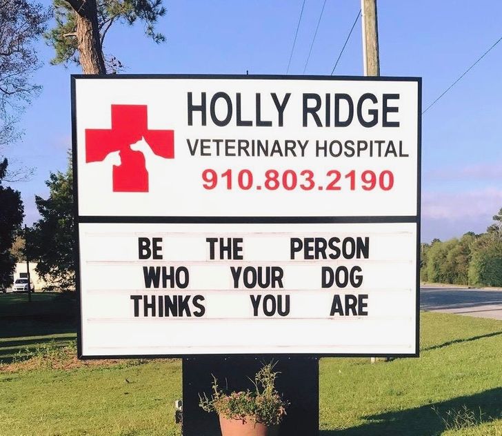 5fab915f6f85b6fd9b8916b2f9