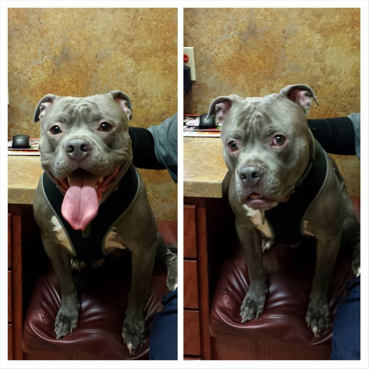 5fac8355e58b91bcc21a9982ce