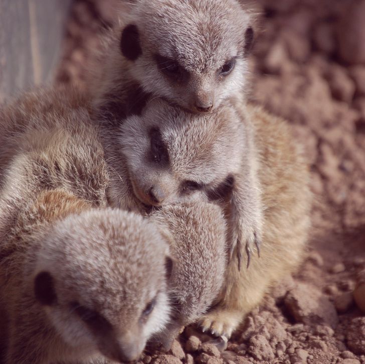 5fb19c5699a1a37dbf0c22f576