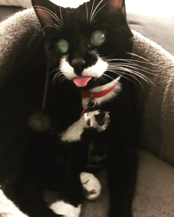 5fb3335fcea19b7efa4c57cf67