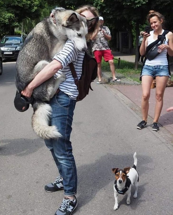 5fb52a56e799cc869293ae08e7