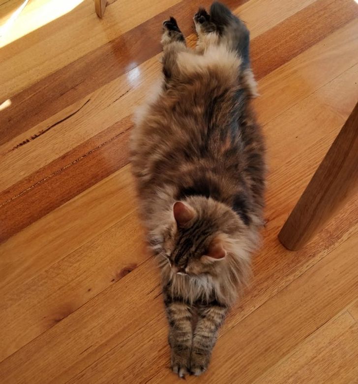 5fb86259deb98b356f12be62a0