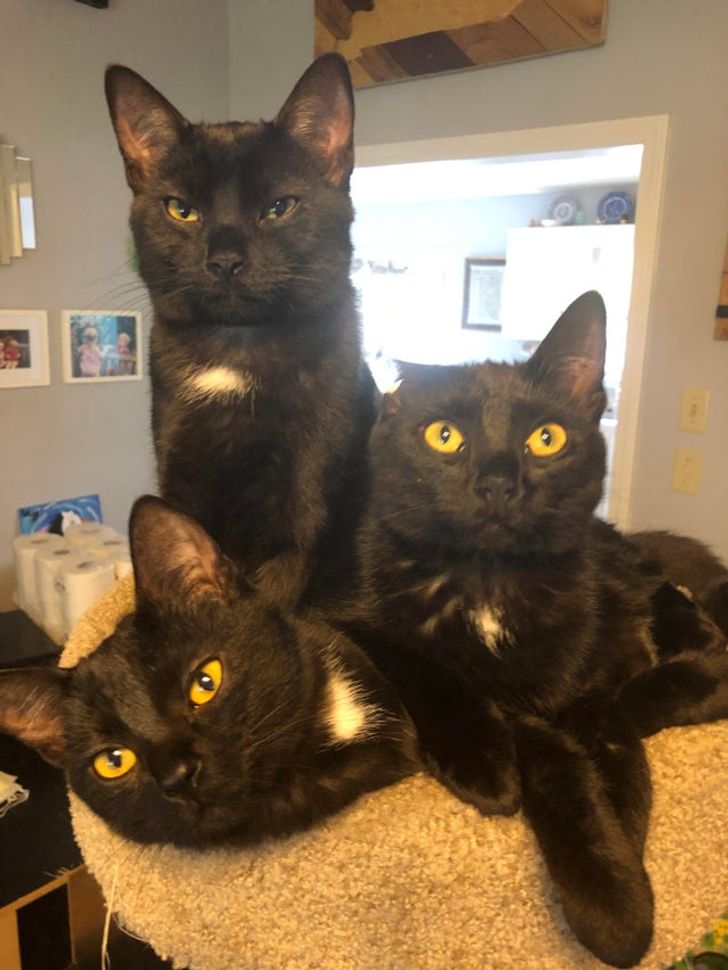 5fba5f52e68bd08cd0faef809d