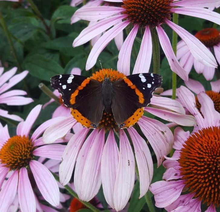 5fbe6c5121bb80e58bbbd13ac6