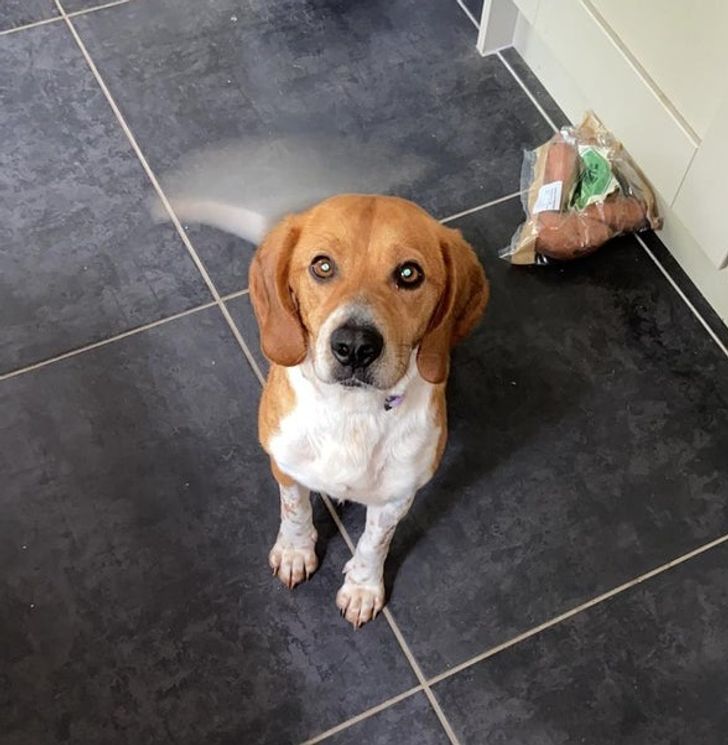 5fc3f25bfea75b793697494294