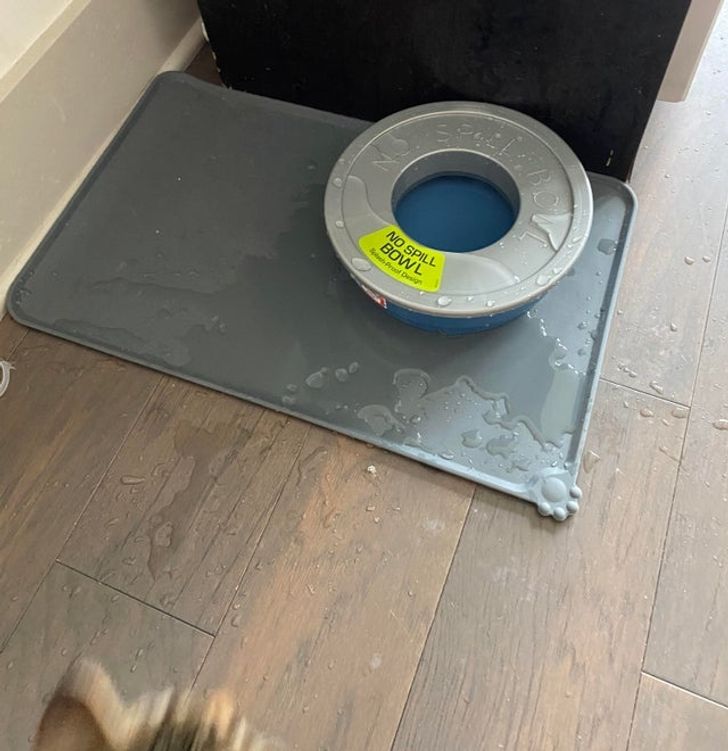 5fc8a2591f881b30235e870610