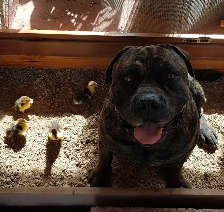 5fcaa75e3ca6e9fa35141cfca4