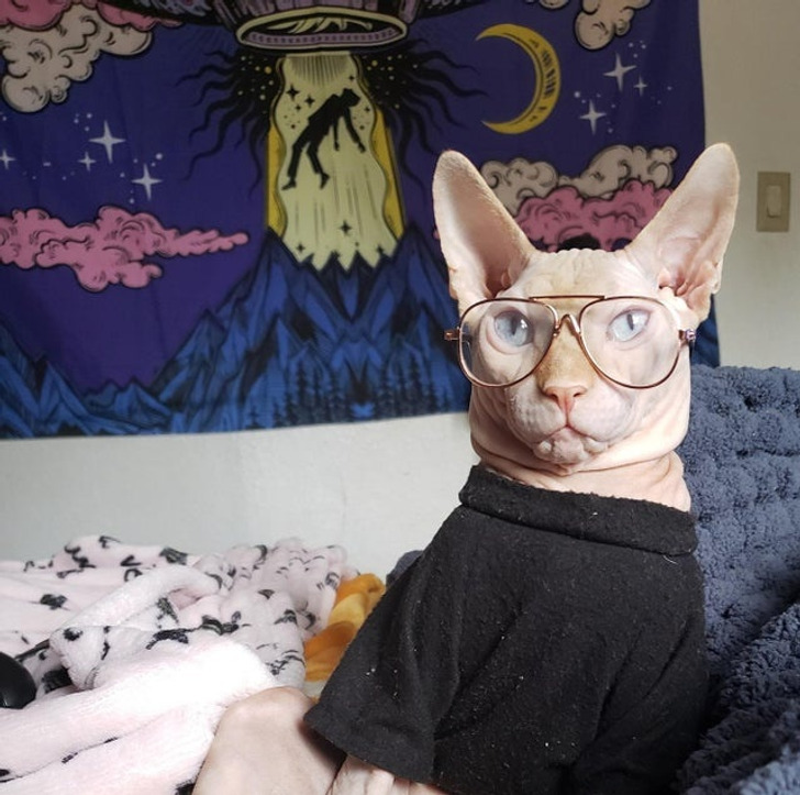 5fcc805e5e851faeddd1a0e60b 5fcc805e5e851faeddd1a0e60b