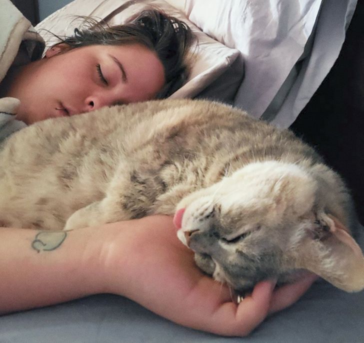 5fd1375fc897d548b9915f2a90