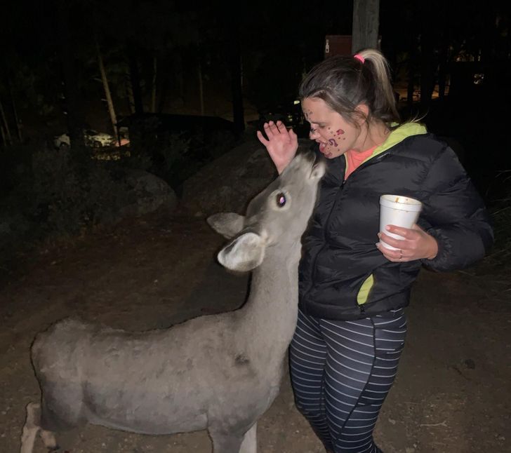 5fd79052c9b1b52d3b9f8676c4