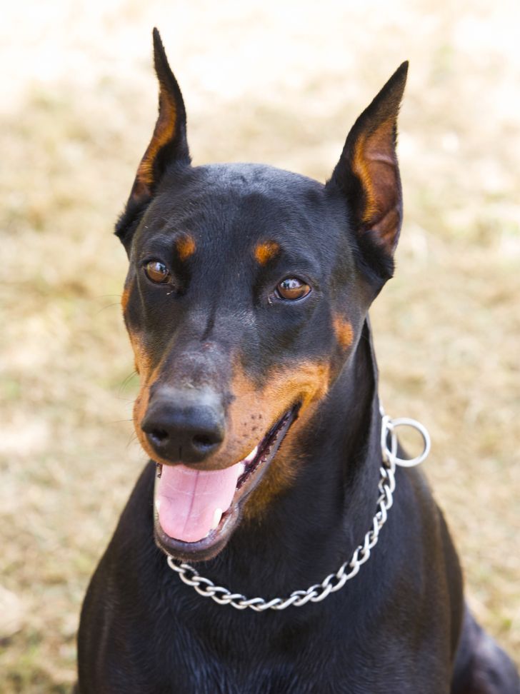 5fd7a952a4b398f83be36ea751