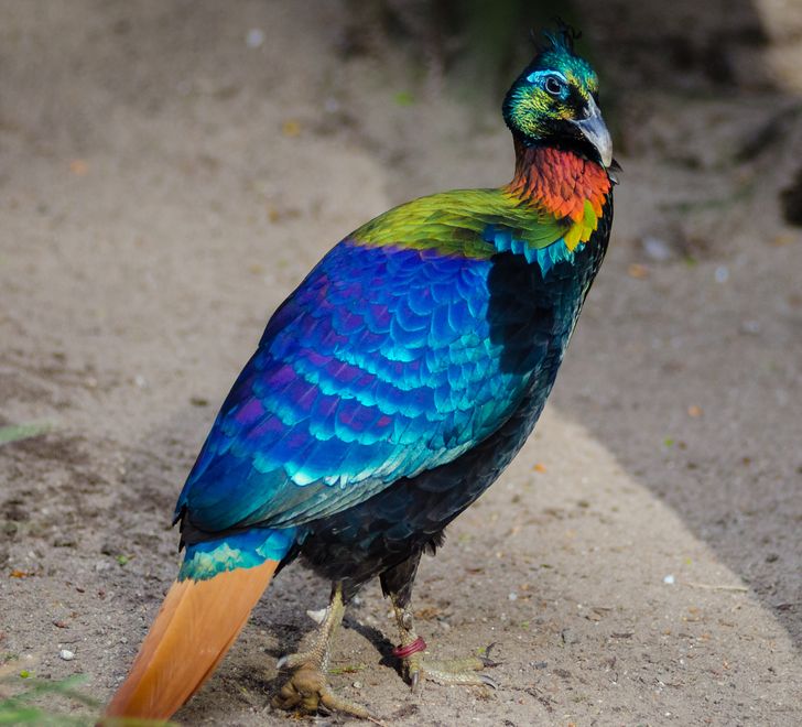 5ff8165445987e14bf150064e5