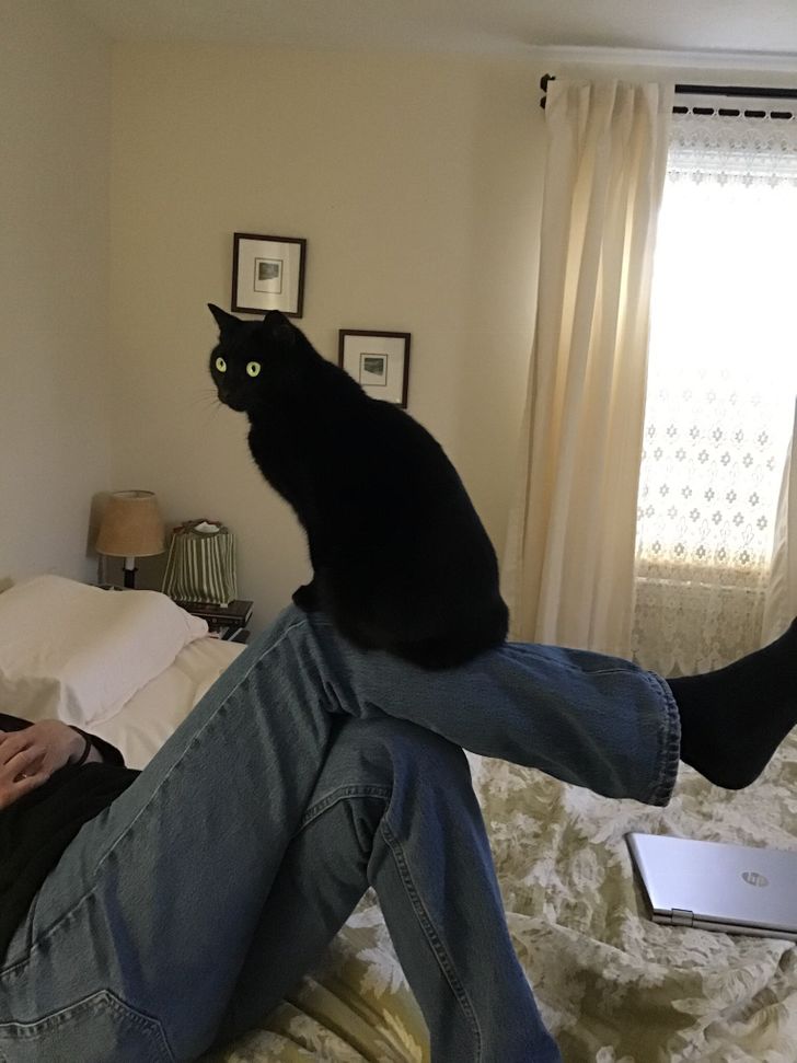 5ffa785deab6b24ae331d70e23