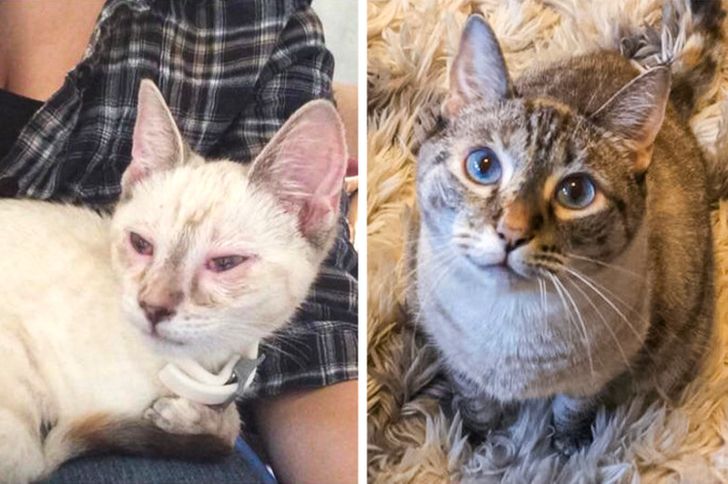 5fff1454eda1b77b1748210445 5fff1454eda1b77b1748210445