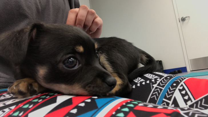 6000b45383bceb4c275b9e0059