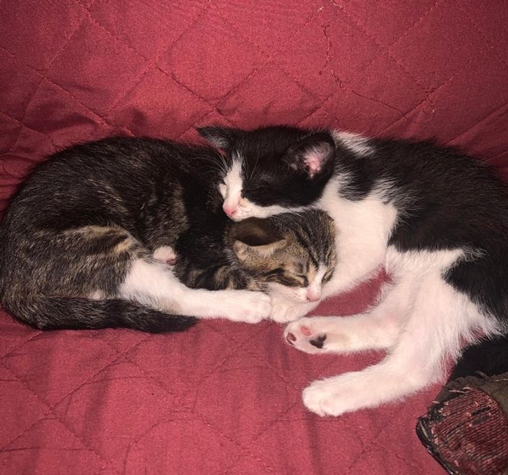 6000f45d3184b593ff0f83d8f9