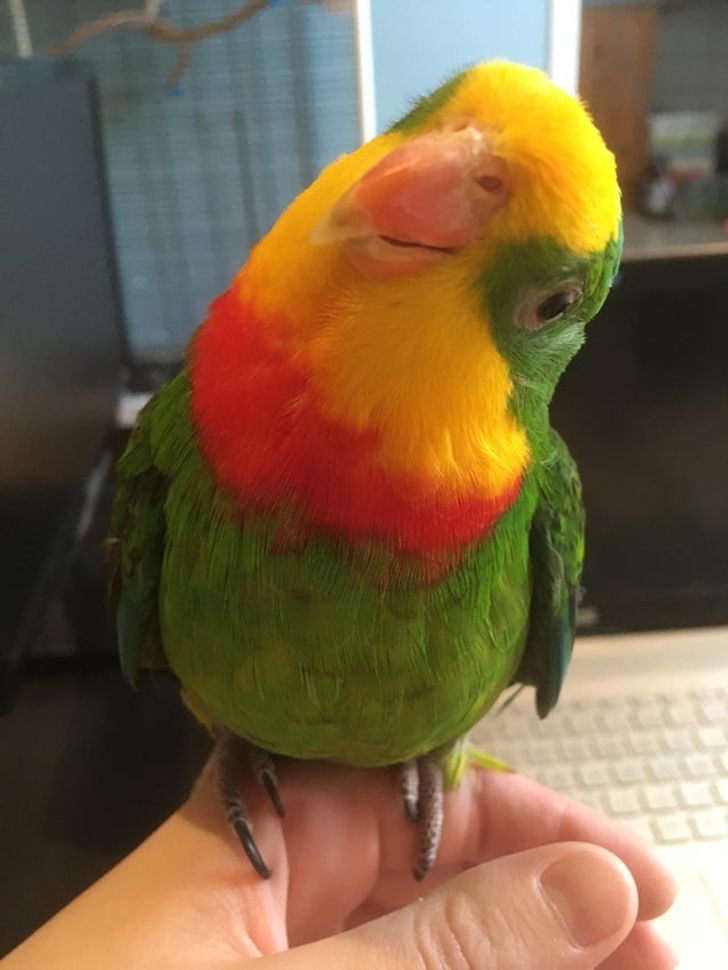 600210501281cc76977828333f