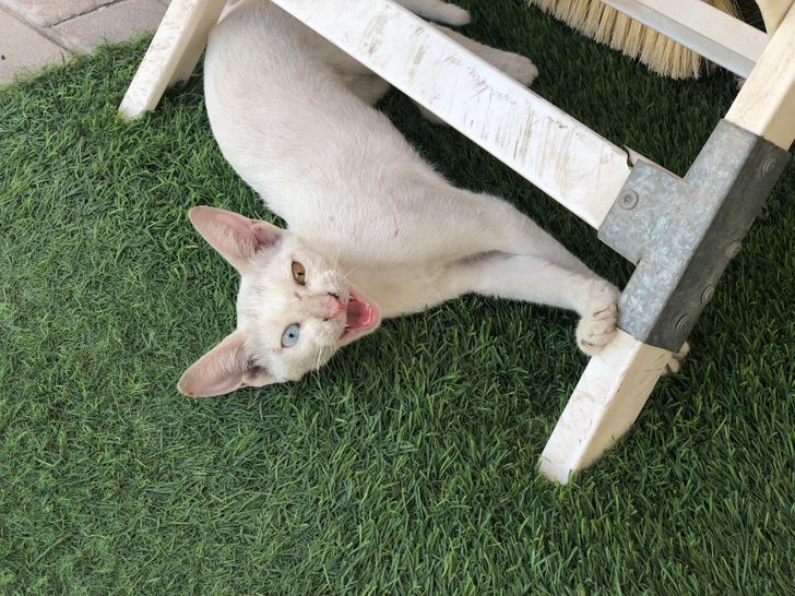 600fd1512781cd7421b53d0f58