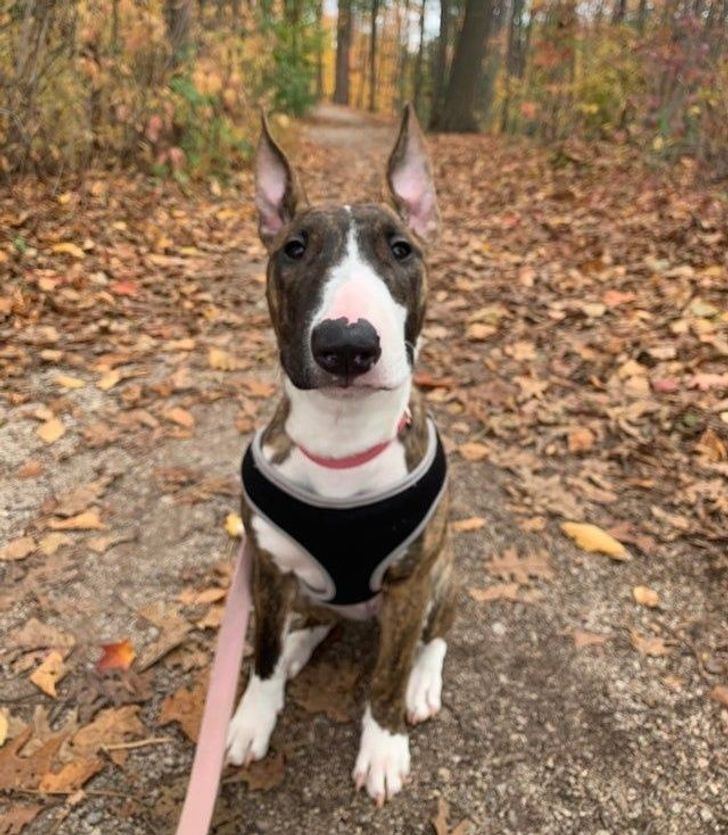 601930549893e2629b27e6b18c