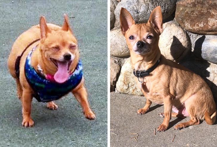 601b6052d5956aacc336b4556f