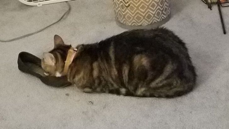 601bf55927bb603d8647e3ac40