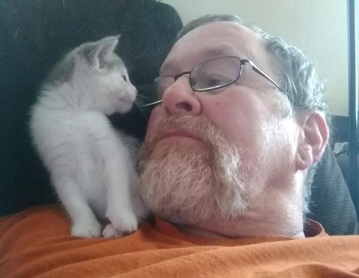 601e7f5d8080ea1176c803b2bd