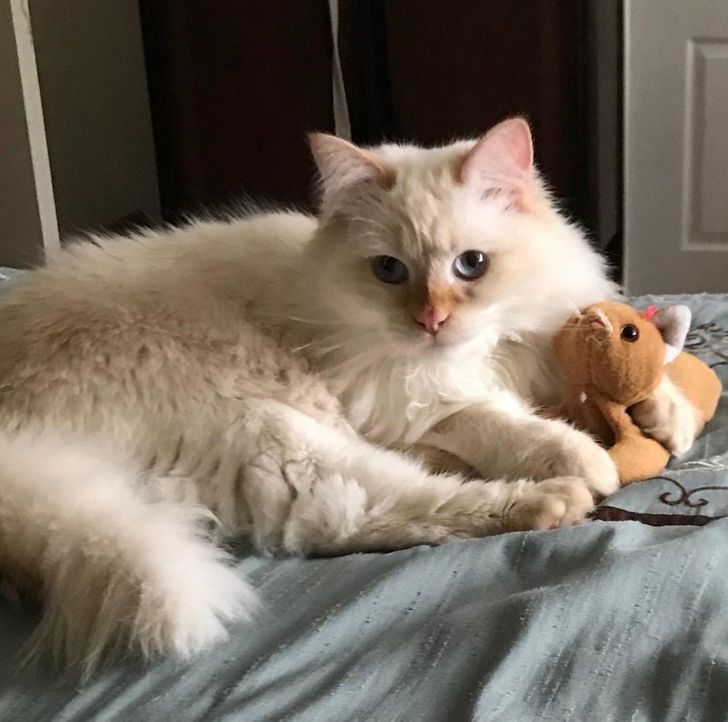 60278057fbb5a5abc33832e919