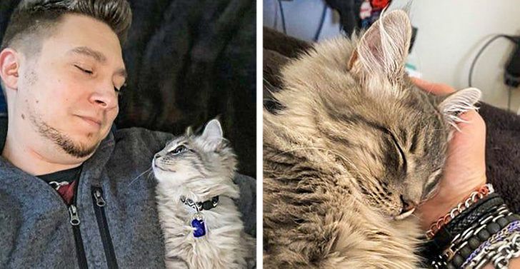 6031da5a89841a61fb96233b85