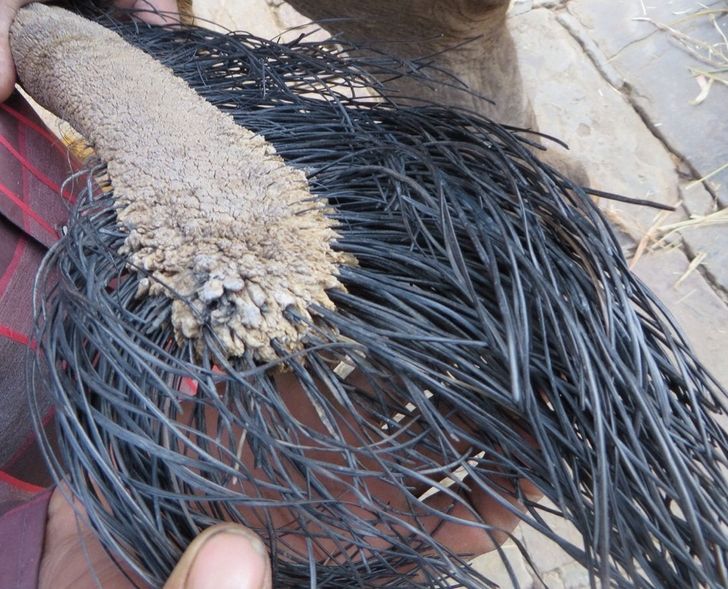 6041d05634b1a3ec280256b97c