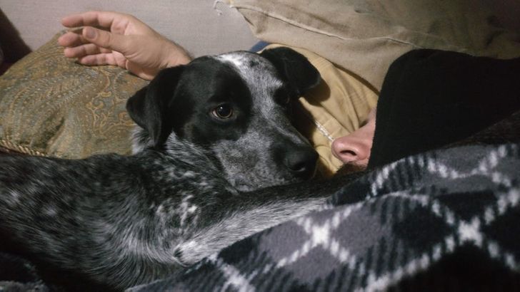 60423a523a99d17e5363934d92